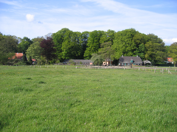 Weidegang Charles Hoeve